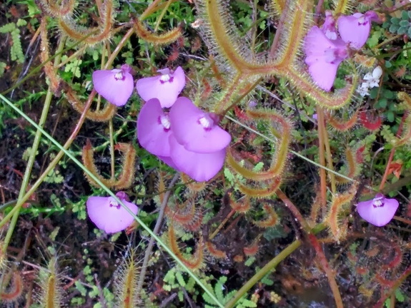 unbenannte Fotosession 20131223 1115